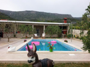 Holiday house with a swimming pool Bol, Brac - 11016